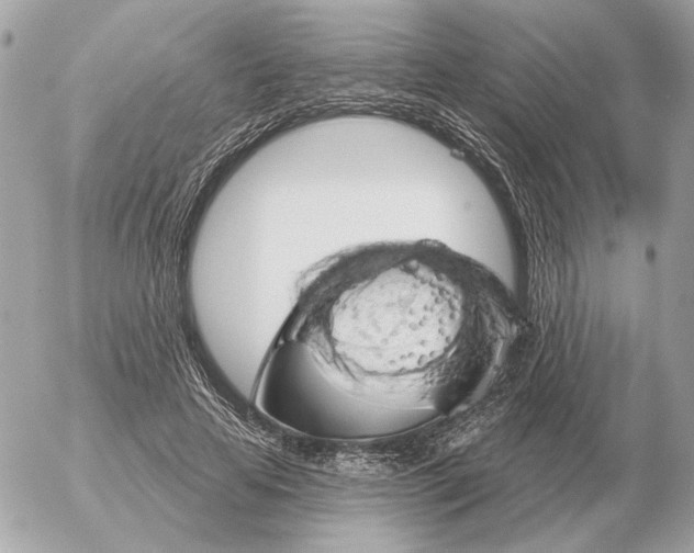 X0000052640641200507221816