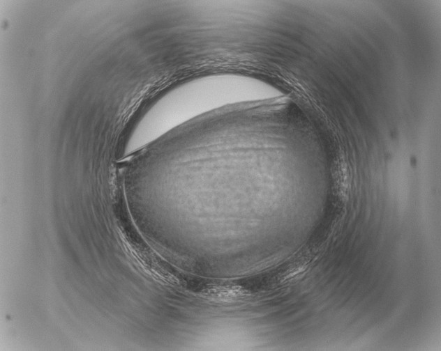 X0000052640642200507221816