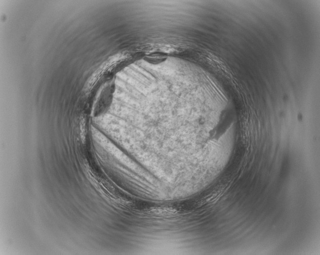 X0000052640644200507221816