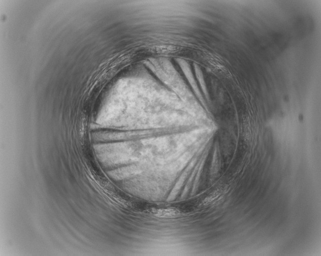 X0000052640645200507221816