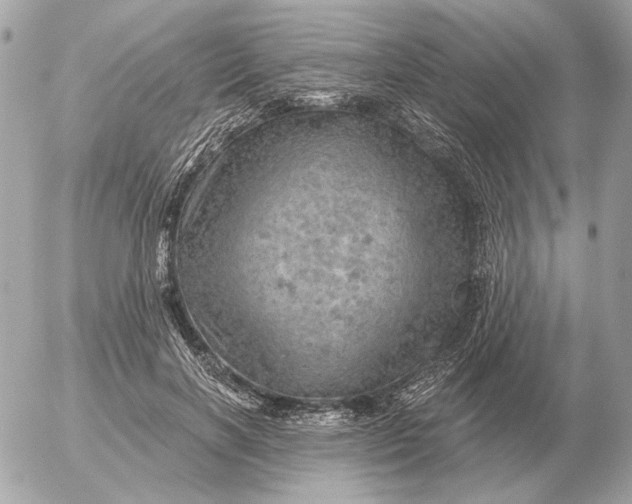 X0000052640646200507221816