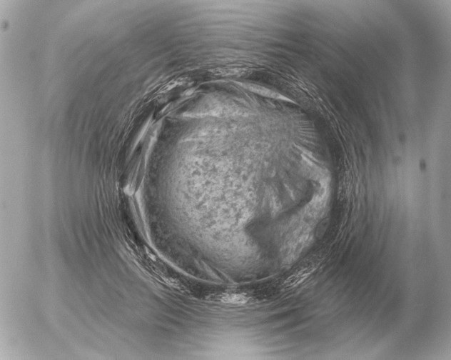 X0000052640647200507221816