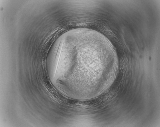 X0000052640648200507221816