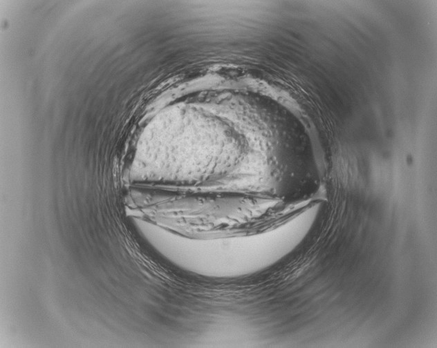 X0000052640649200507221816