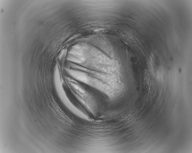 X0000052640650200507221816