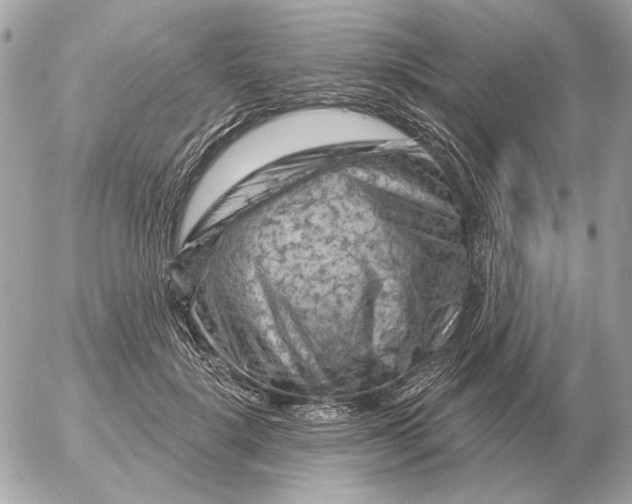 X0000052640652200507221817