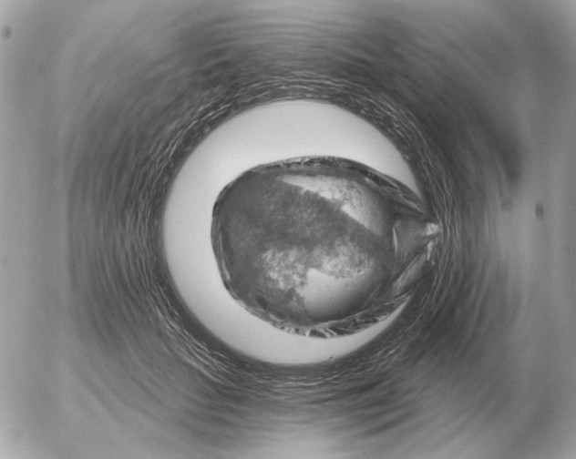 X0000052640653200507221817