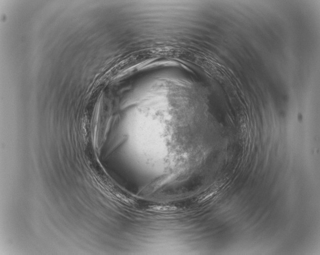 X0000052640654200507221817