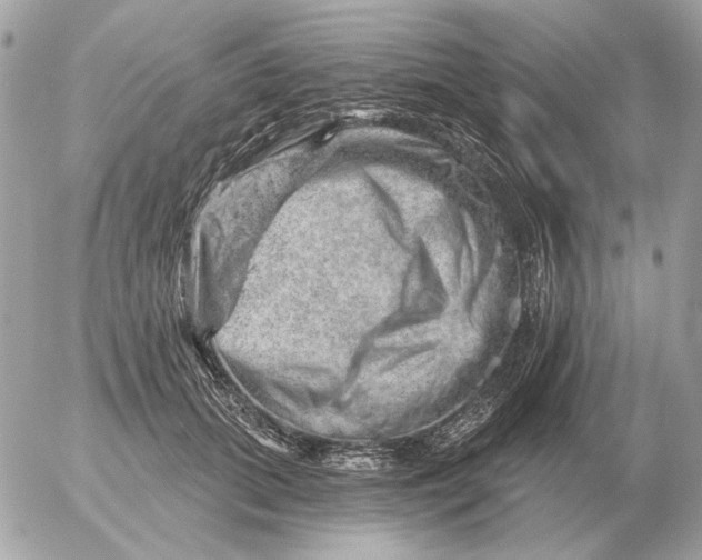 X0000052640655200507221817