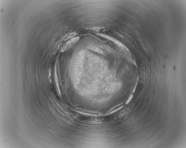 X0000052640656200507221817