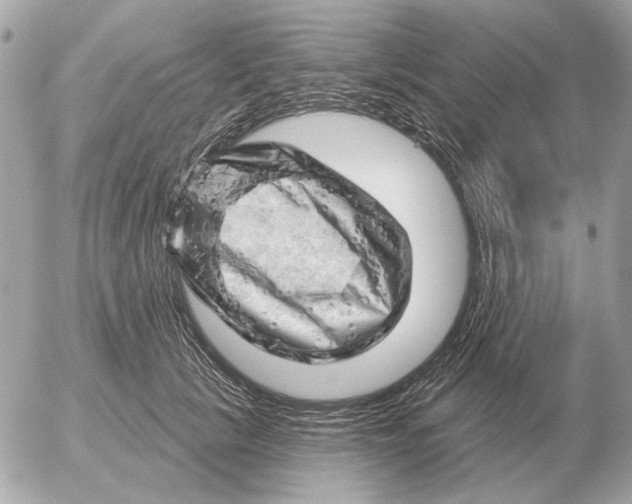 X0000052640657200507221817