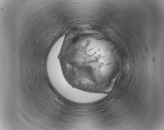 X0000052640658200507221817