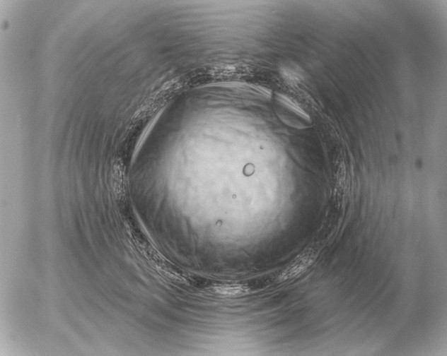 X0000052640659200507221817