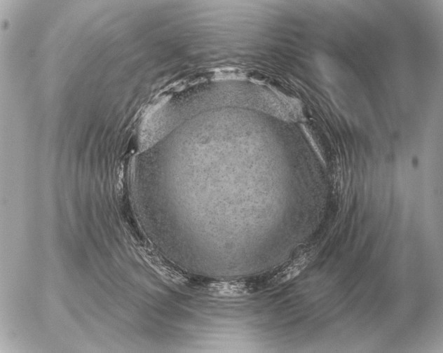 X0000052640660200507221817