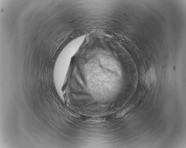 X0000052640661200507221817