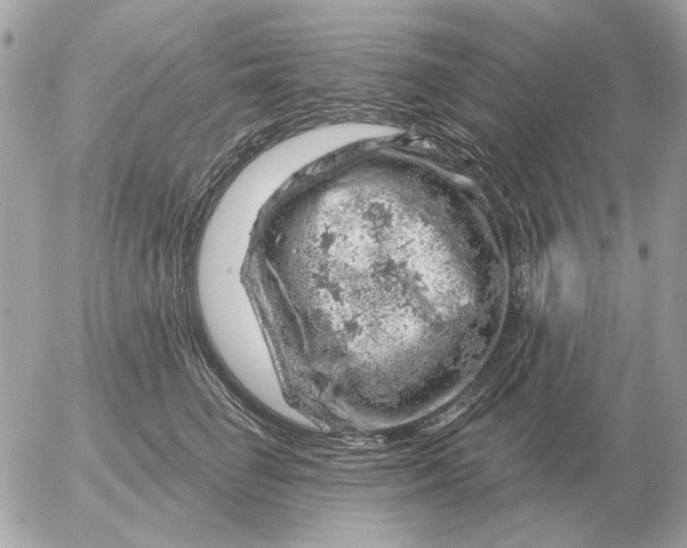 X0000052640662200507221817