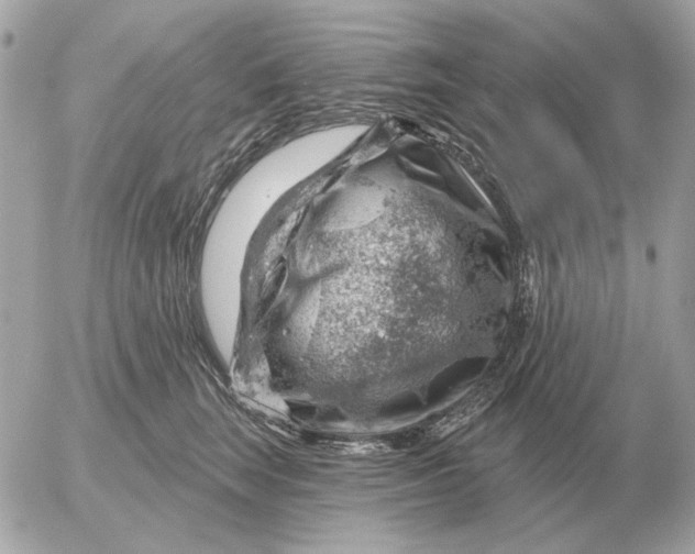 X0000052640663200507221817