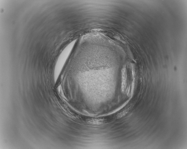 X0000052640664200507221817