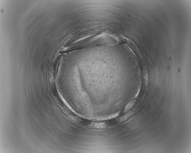 X0000052640665200507221817