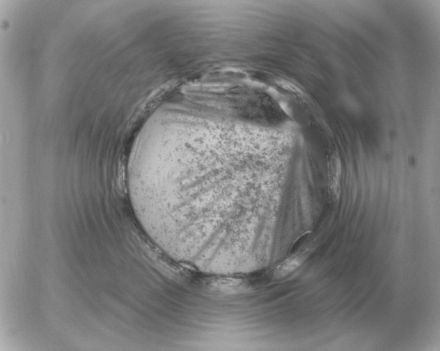 X0000052640669200507221817