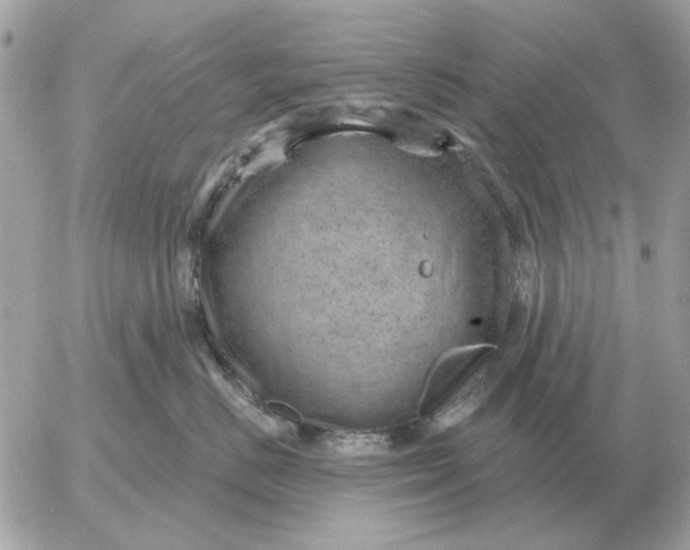 X0000052640670200507221817