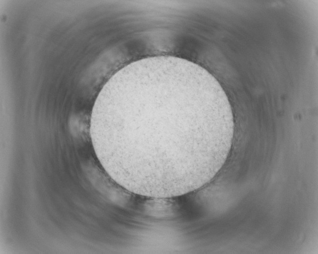 X0000052640672200507221817