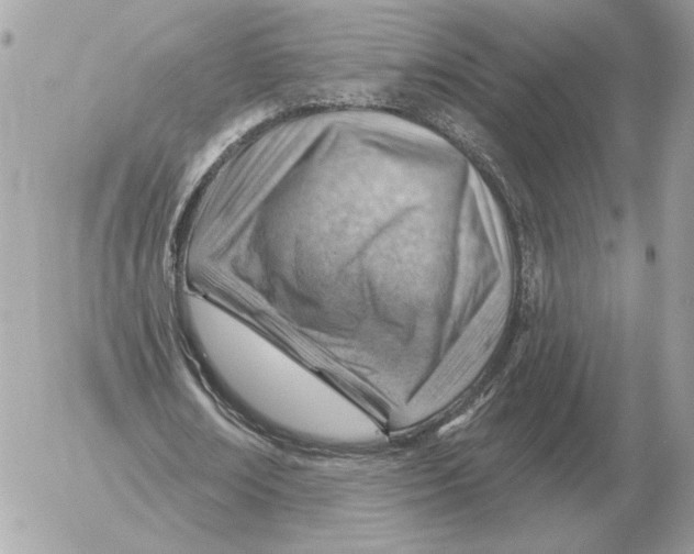 X0000052640674200507221816