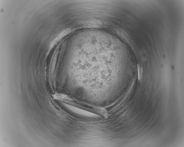 X0000052640675200507221816