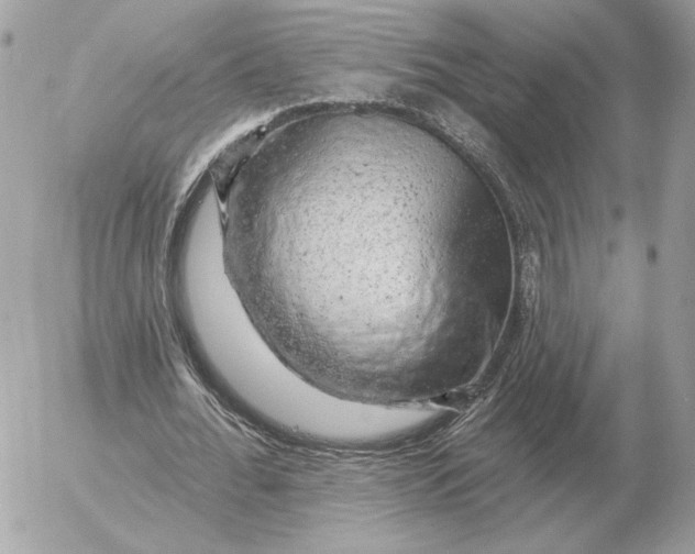 X0000052640676200507221816