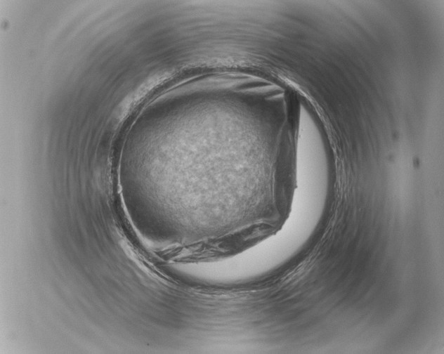 X0000052640677200507221816