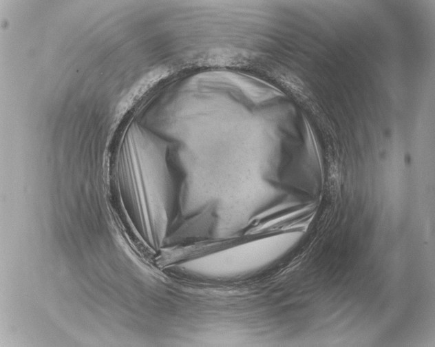 X0000052640678200507221816