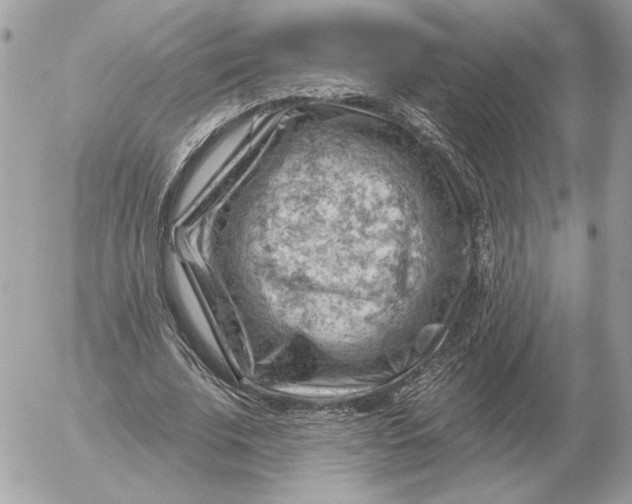 X0000052640679200507221816