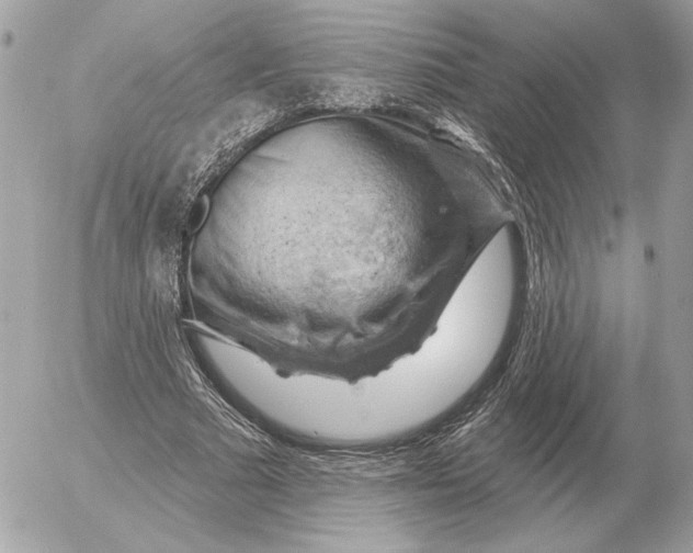 X0000052640681200507221816