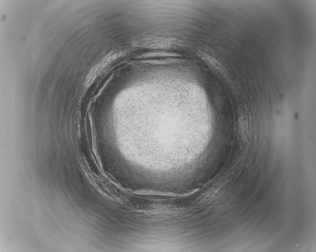 X0000052640682200507221816