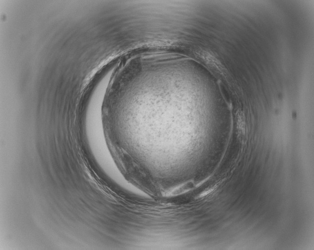 X0000052640684200507221816