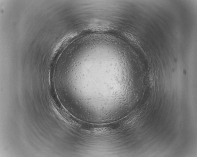 X0000052640686200507221816