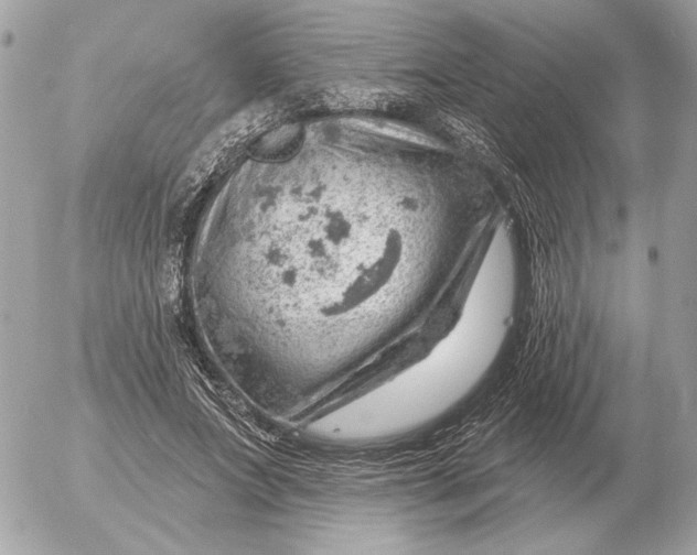 X0000052640687200507221816