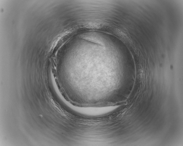 X0000052640688200507221816