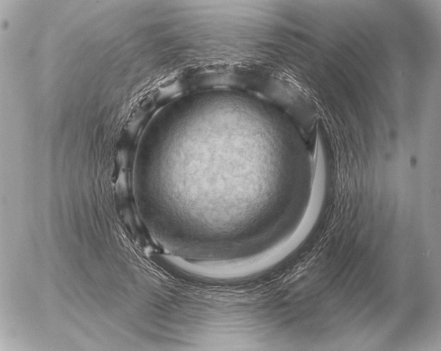 X0000052640689200507221816