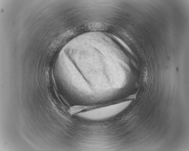 X0000052640690200507221816