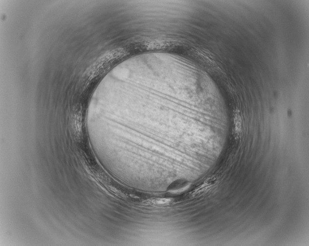 X0000052640691200507221816