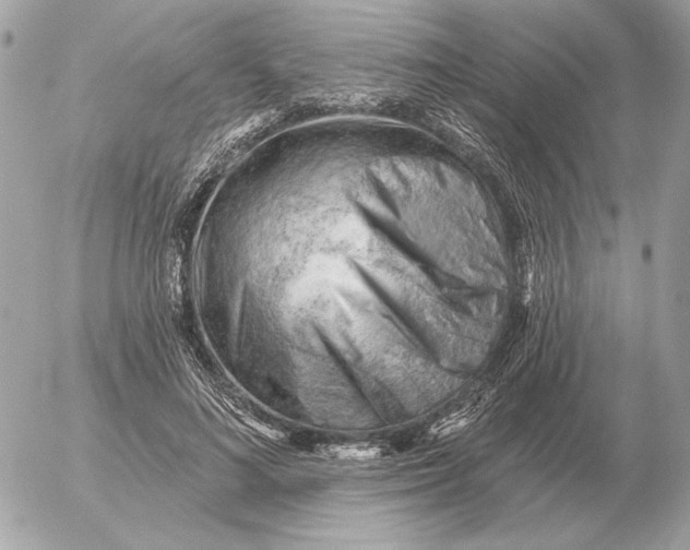 X0000052640692200507221816