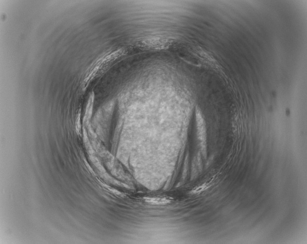 X0000052640693200507221816