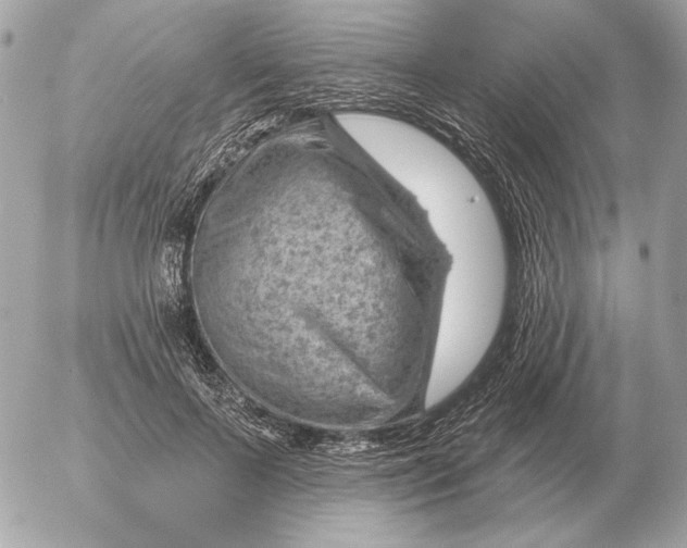 X0000052640695200507221816