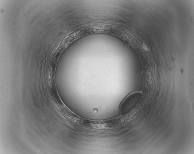 X0000052640698200507221816