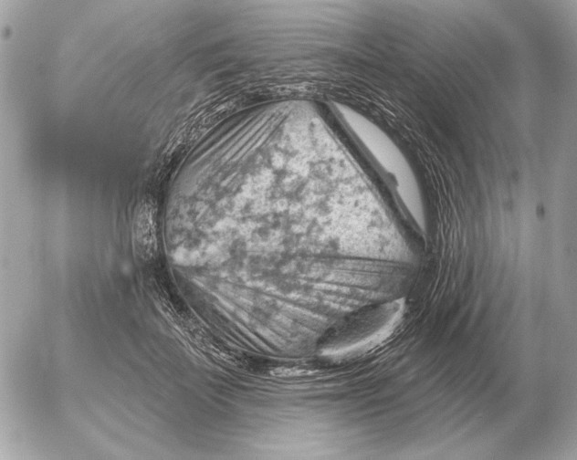 X0000052640699200507221816