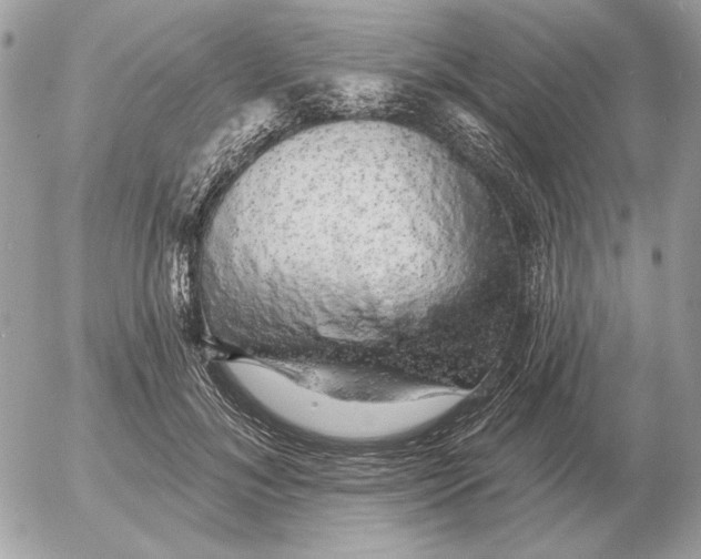 X0000052640700200507221816