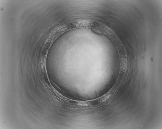 X0000052640701200507221816