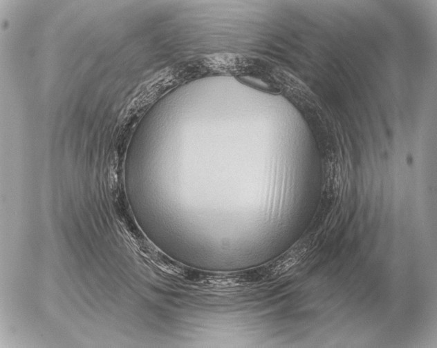 X0000052640702200507221816