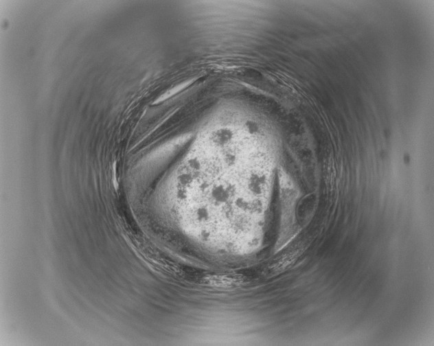 X0000052640703200507221816